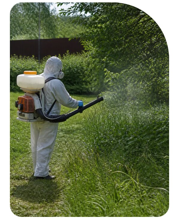 Уничтожение клещей на участке в Александрове по цене от 5356 р. | Сенат-Лкн